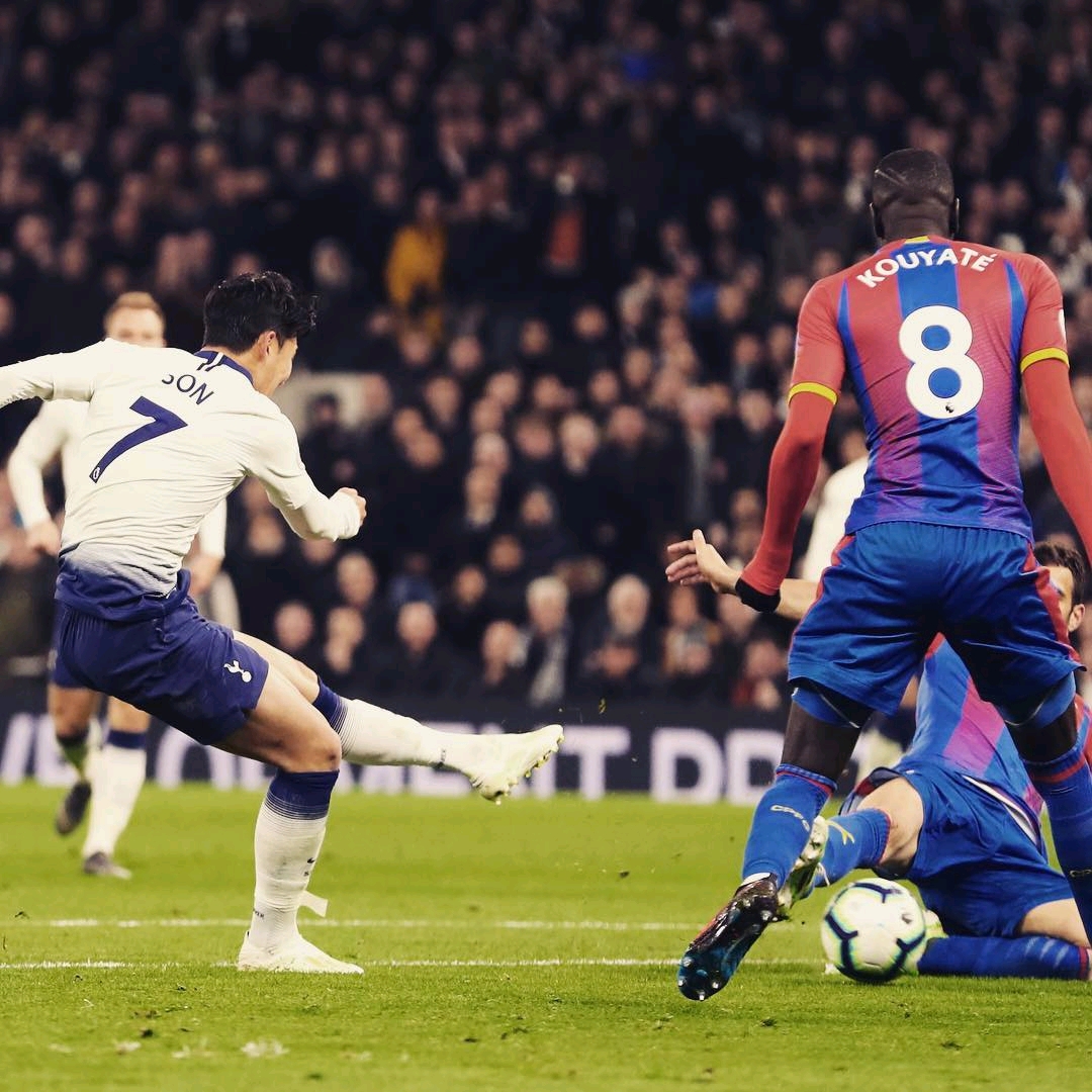 的风向标 的风向标