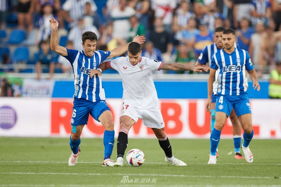 会上的性别 会上的性别